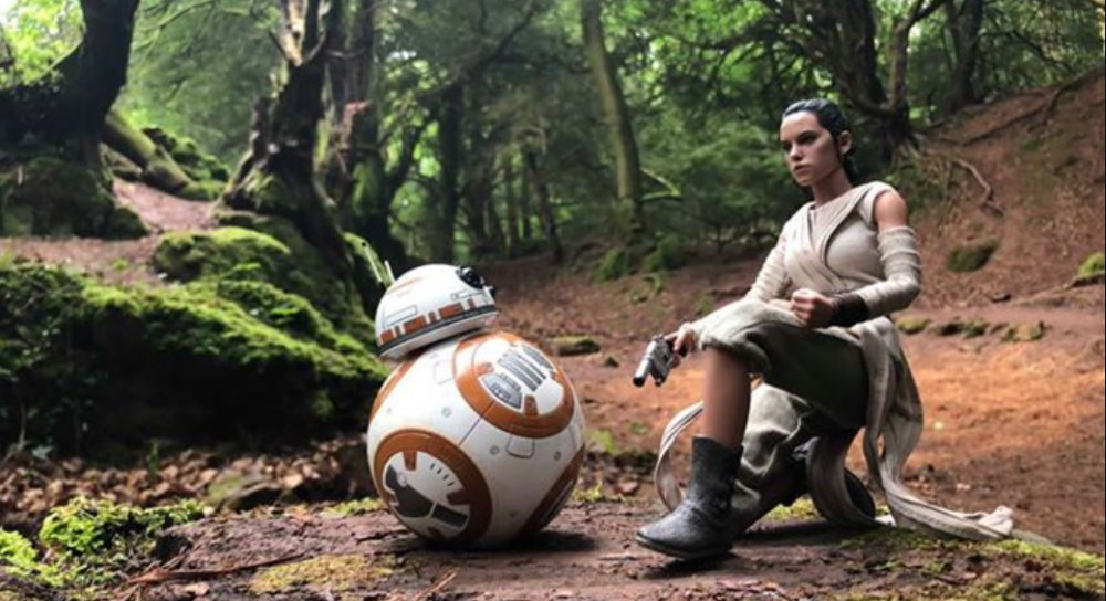 The 12 Days of Christmas at Puzzlewood Fantha Tracks Daily Star